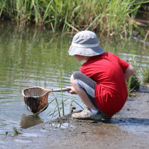 Child at DEEC netting critters which depend on clean, healthy water