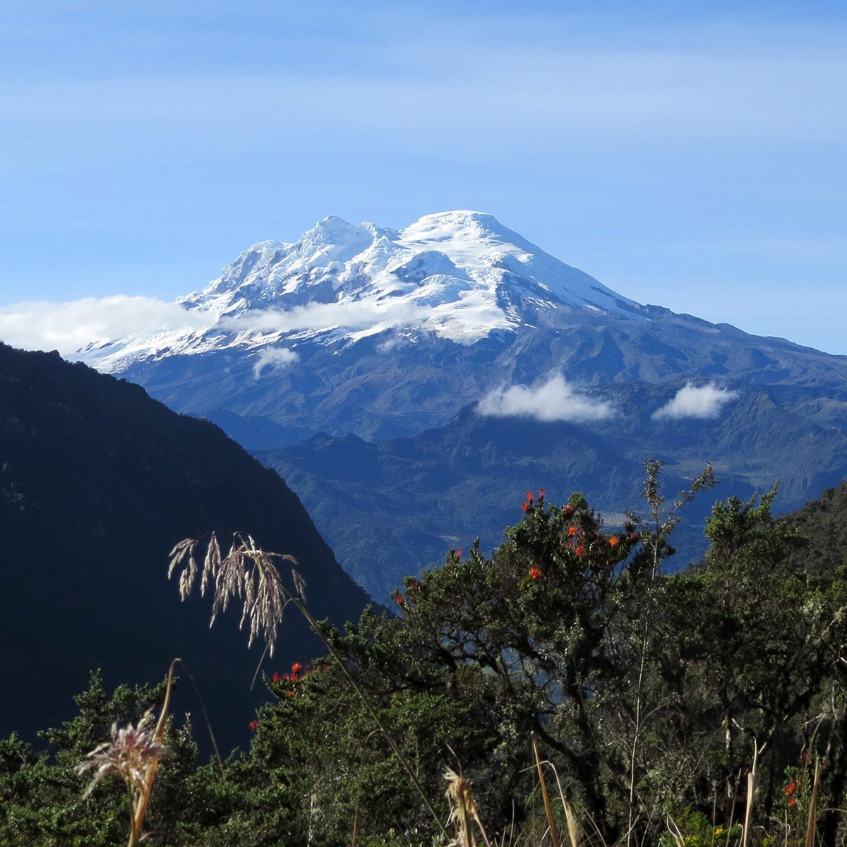 EcoTours Ecuador mountains