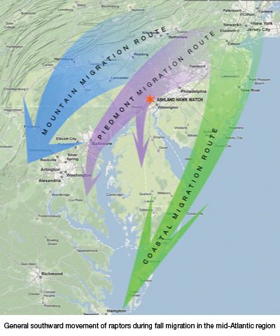 Ashland Hawk Watch Hill - Hawk Migration Map