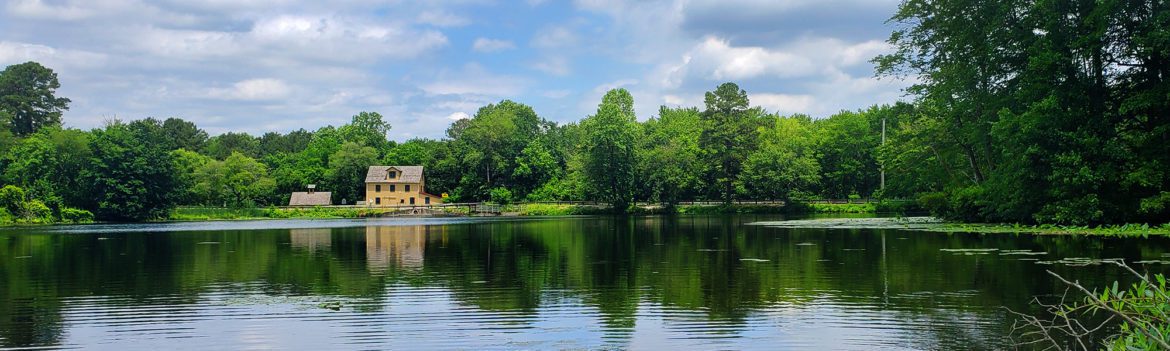 Abbotts Mill Pond in Summer