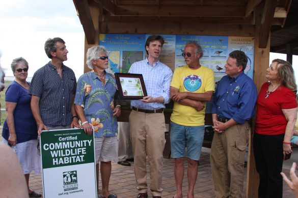 Thanks to so many residents Gardening for Water and Wildlife and making their lands Certified Wildlife Habitats, Slaughter Beach has become a Community Wildlife Habitat
