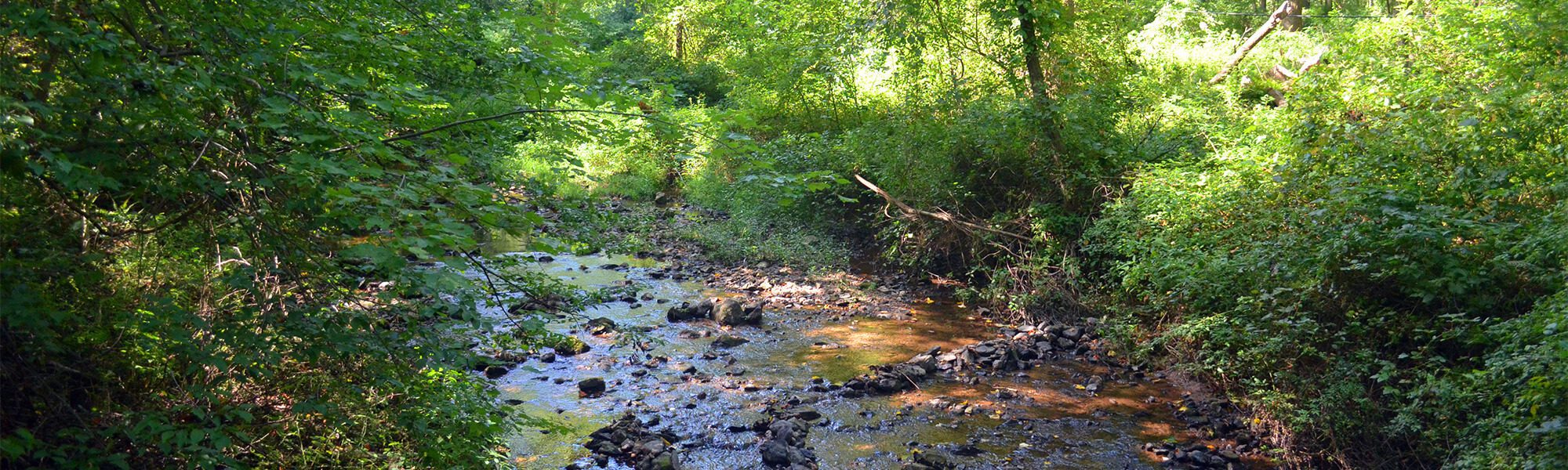 Middle Run Valley Natural Area Park - Delaware Nature Society