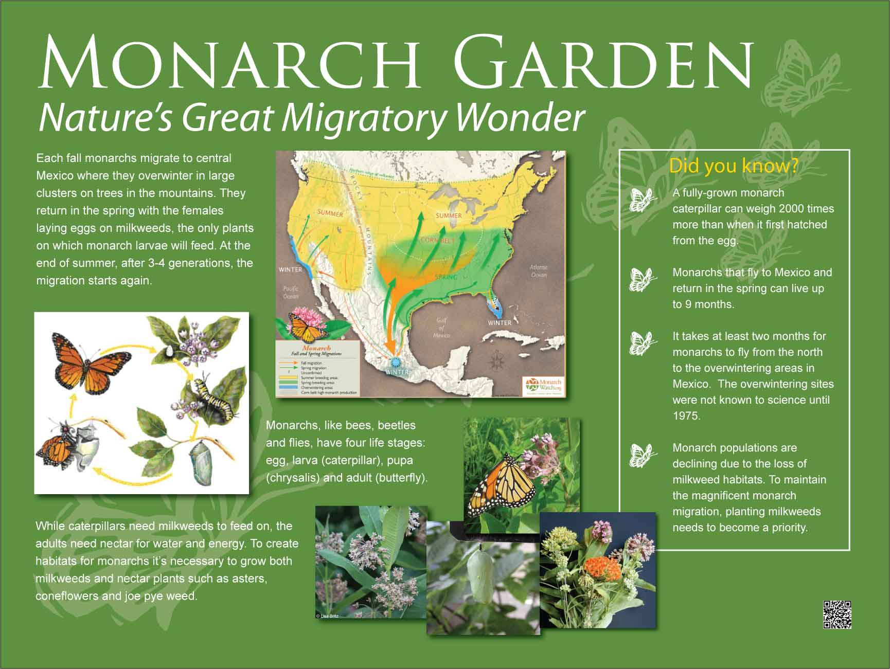 monarch information to support pollinators