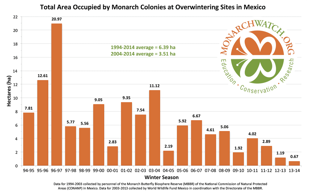 graph of monarch butterfly decline - support pollinators
