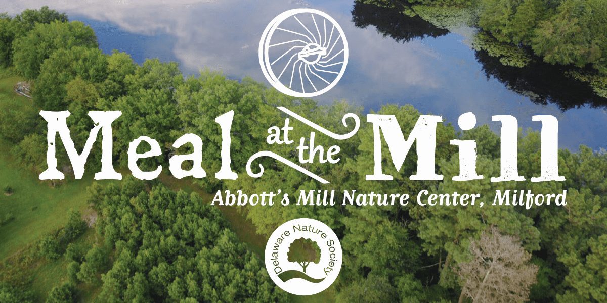 Meal at the Mill 2019 at Abbott's Mill Nature Center in Milford