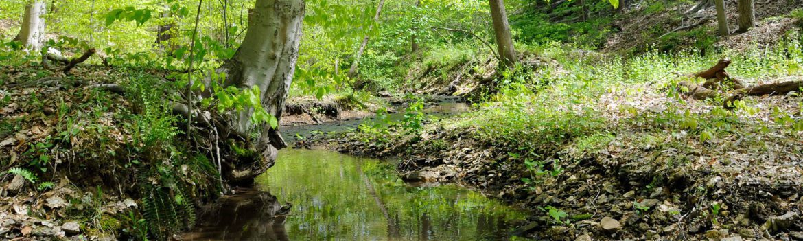 Ken Simpler’s Turkey Run Farm is one of 23 properties that are permanently protected by conservation easements held by Delaware Nature Society. Photography by Derek Stoner.