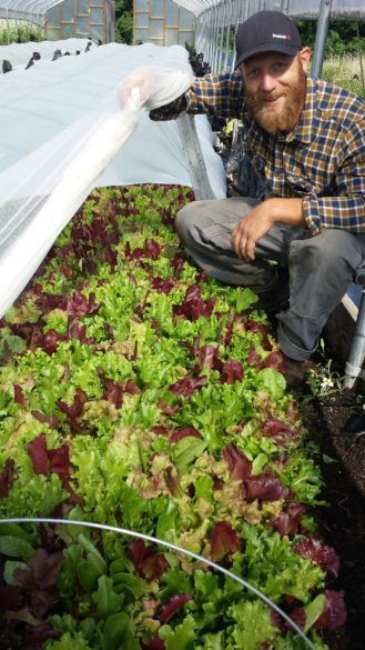 Coverdale’s Market Garden Farmer, Patrick Eggleston, shows beautiful mixed greens growing under protected cover in our high tunnels.