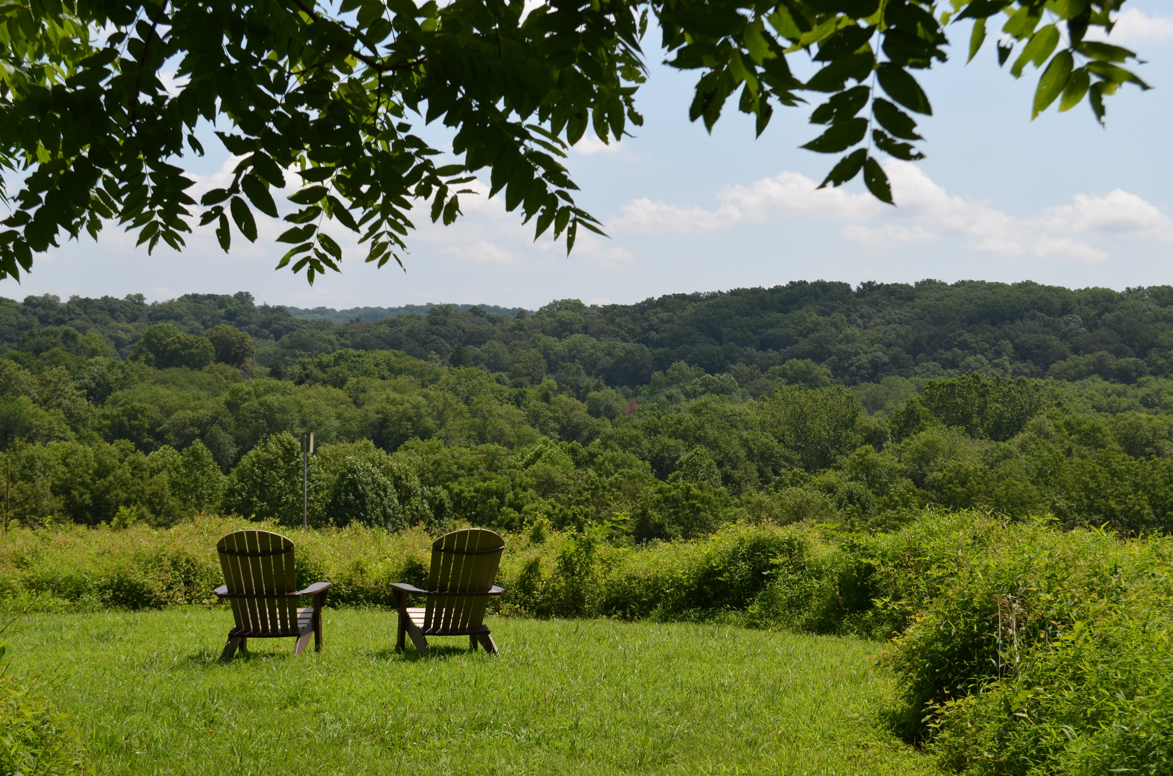 Ashland Nature Center This Summer hilltop chairs