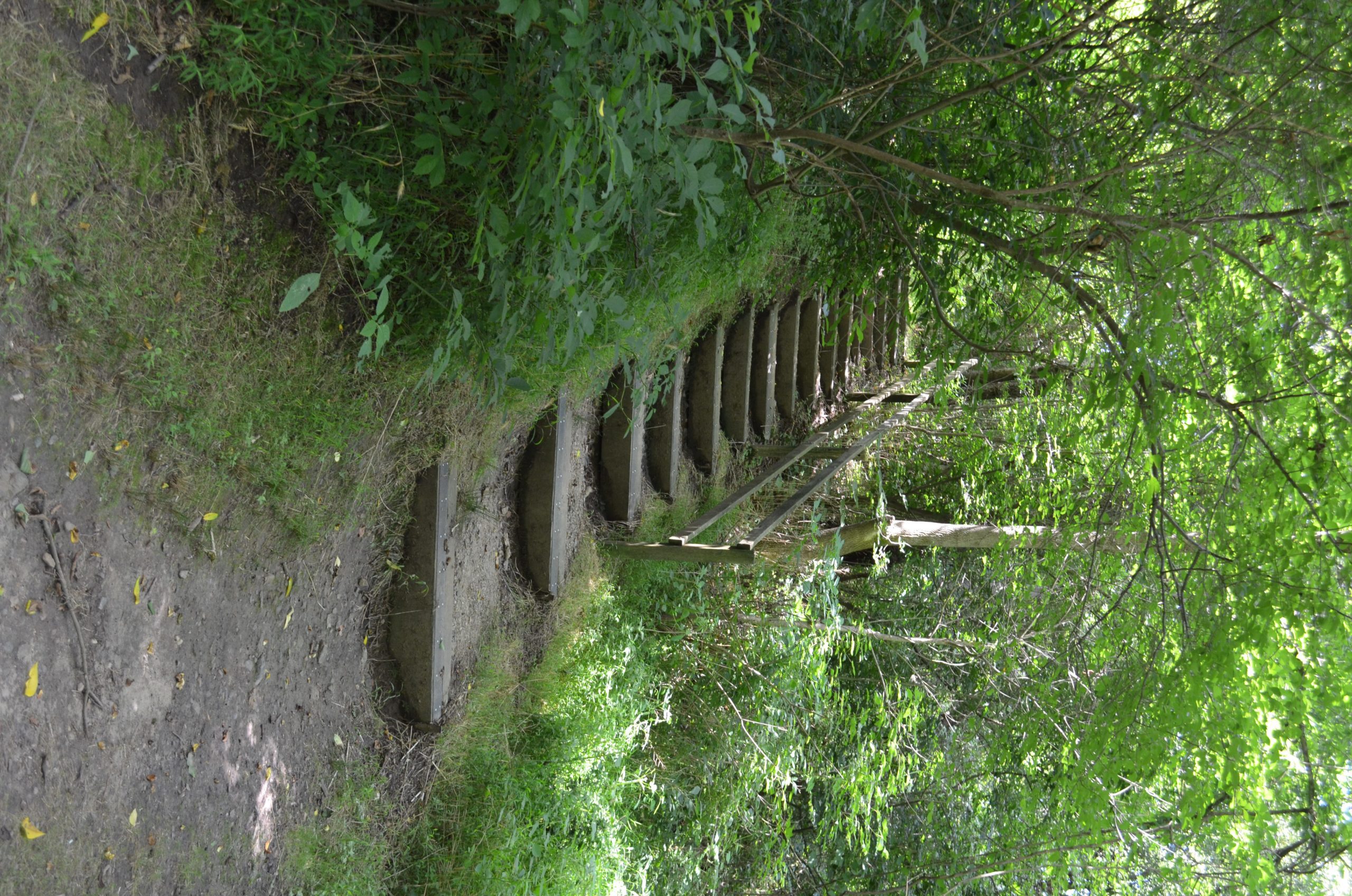 Ashland Nature Center This Summer trail stairs