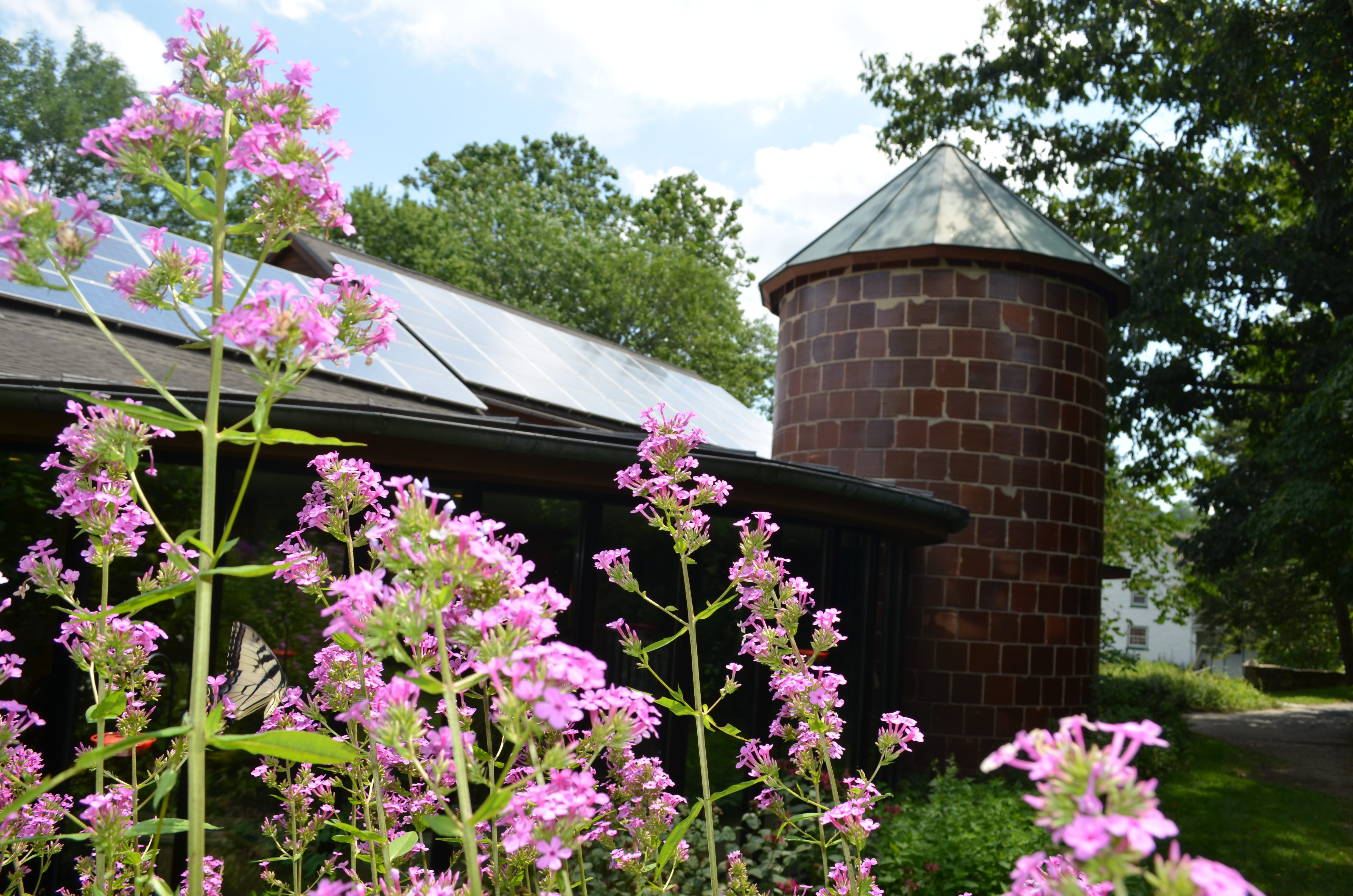 Ashland Nature Center This Summer - Visitor Center