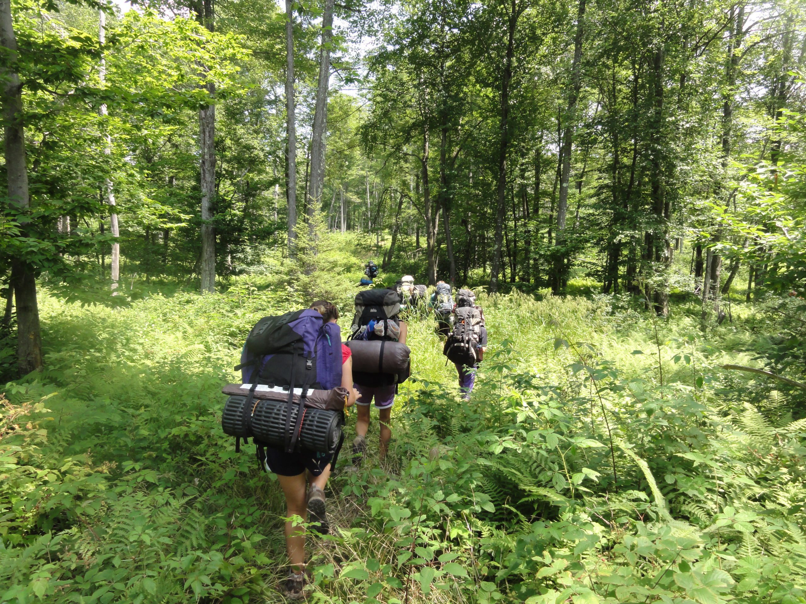 Teens Backpacking Summer Camp