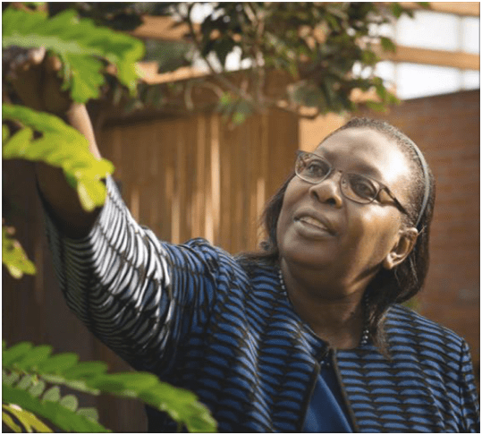 Dr. Dorceta Taylor - Black Environmental Leader