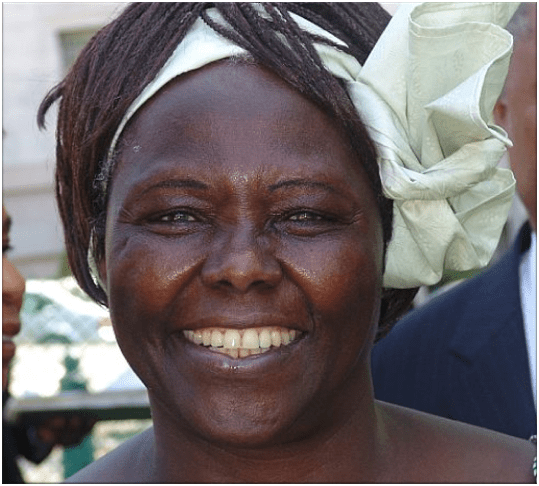 Dr. Wangari Maathai - Black Environmental Leader