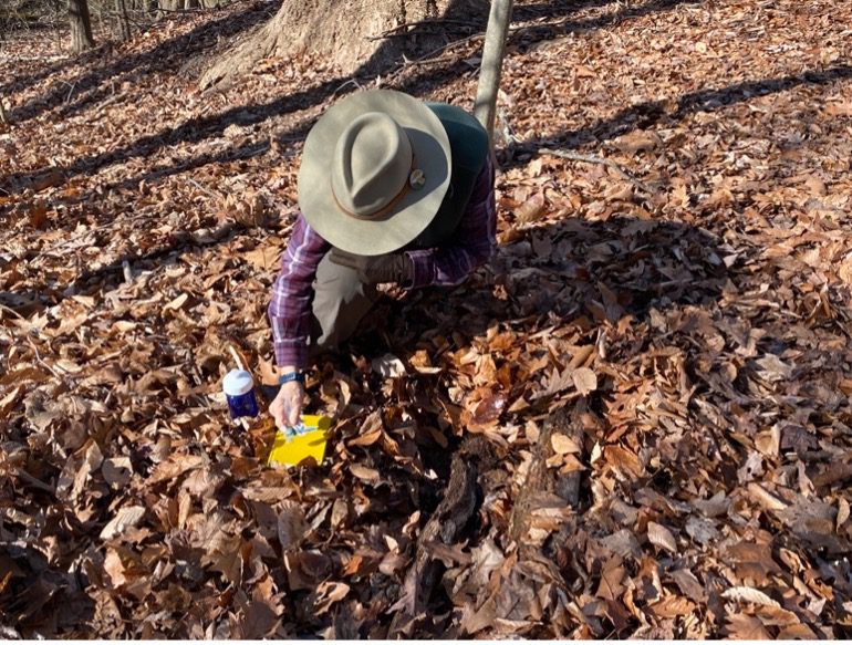 A student looking for winter insects under a log