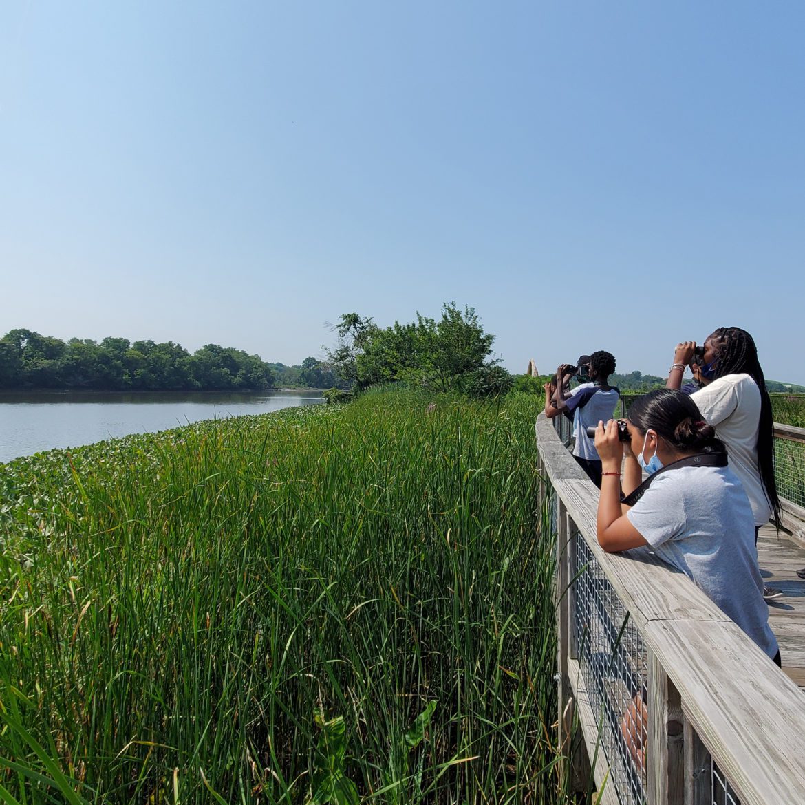 Birding and Castnetting TA WYEC