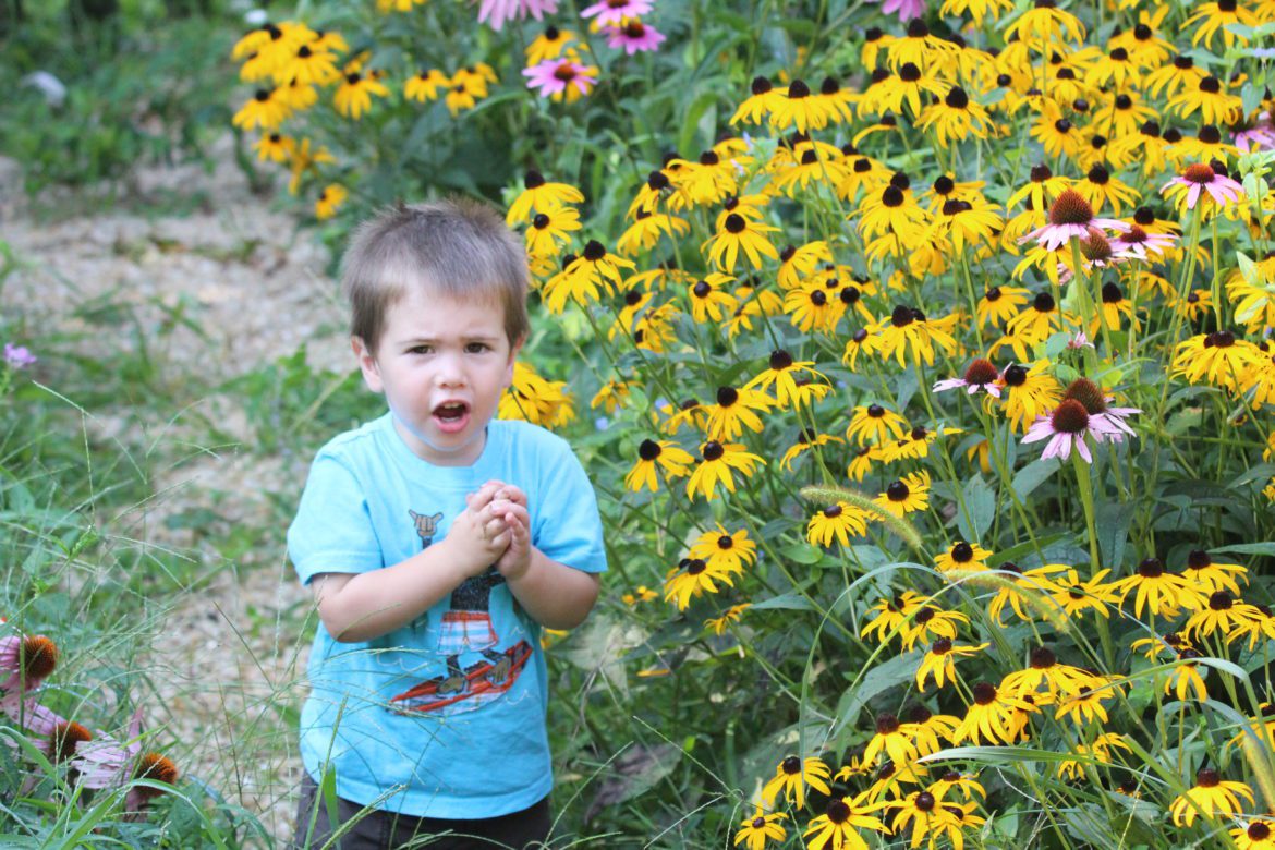 Gardening with Native Plants for your Family