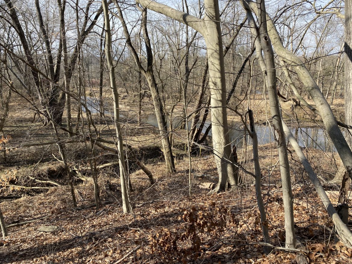 Red Clay Creek in winter