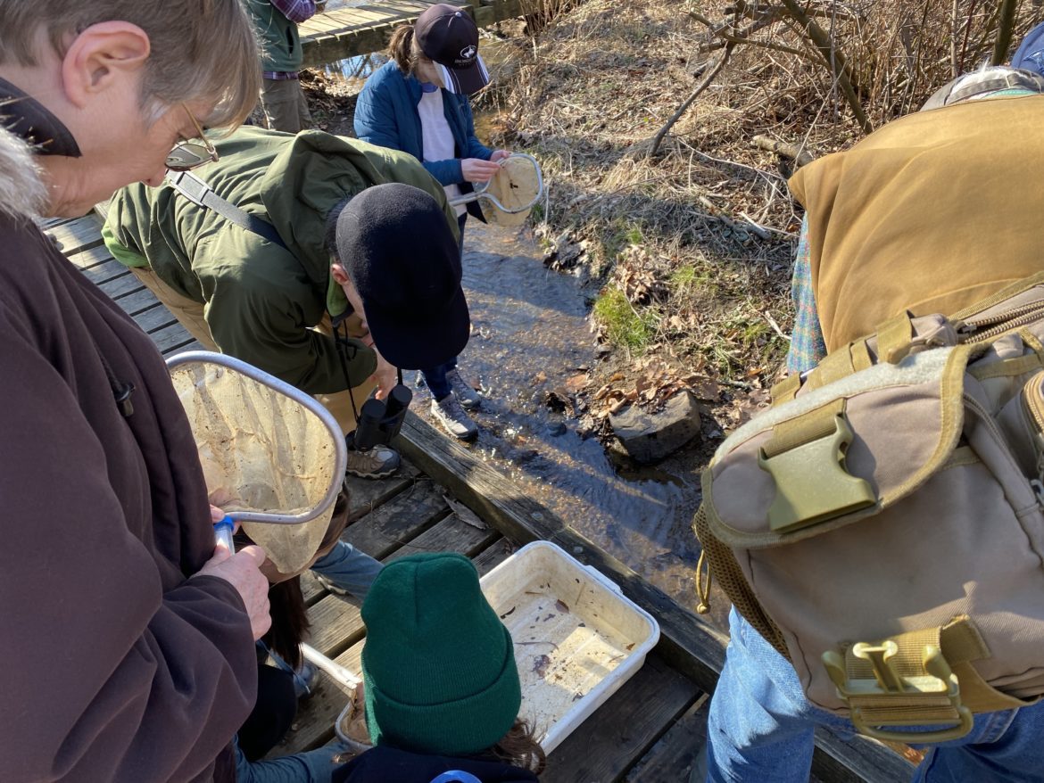 Students observing insects in white plastic tub