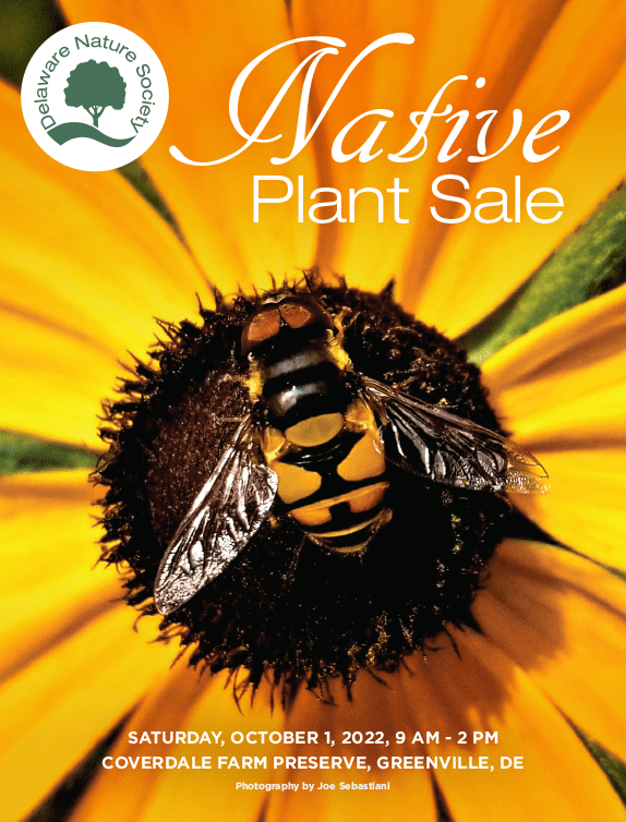 Native Plant Sale List Fall 2022