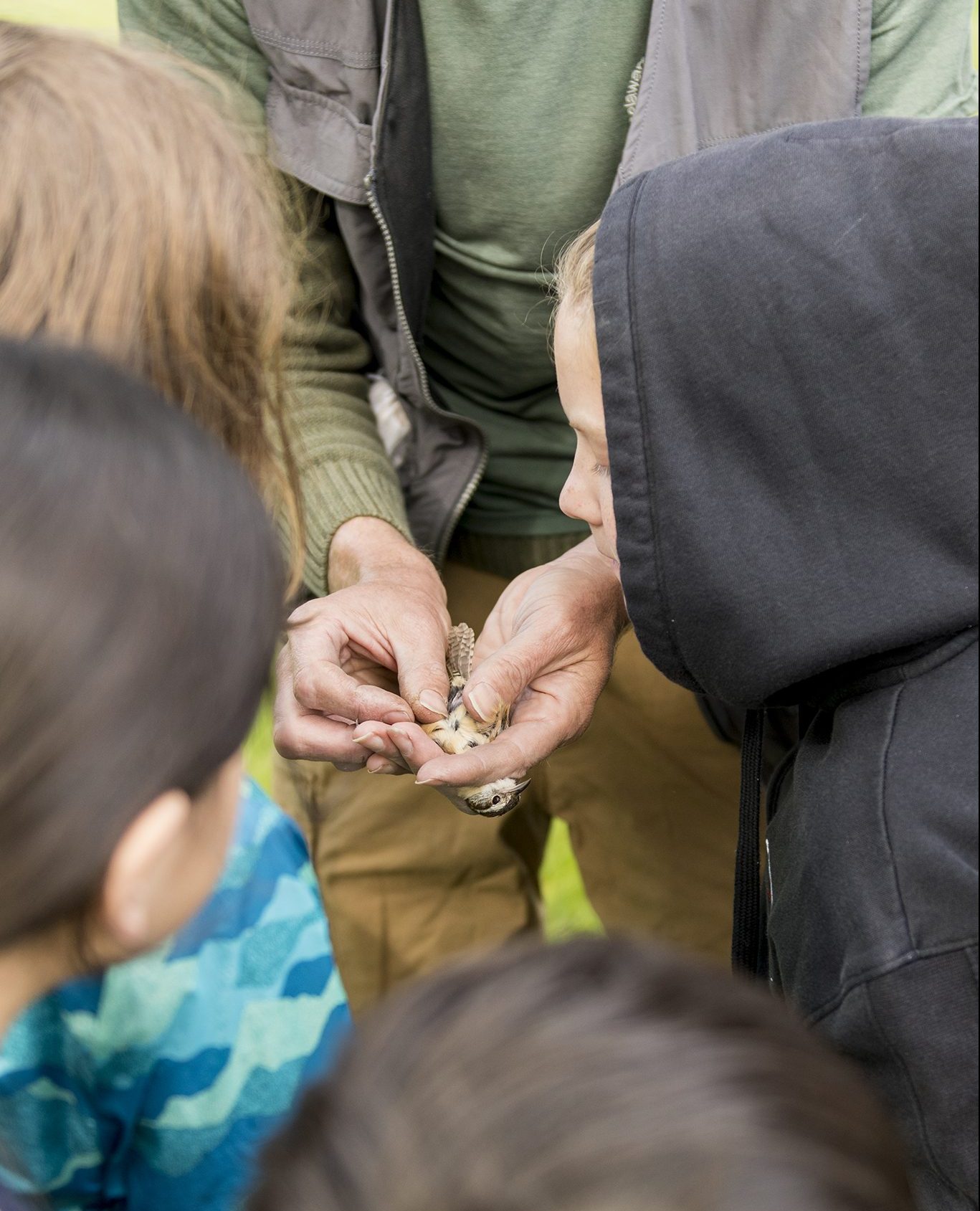 Ian Stewart Teaches About A Bird - Photography by Steve Chiu