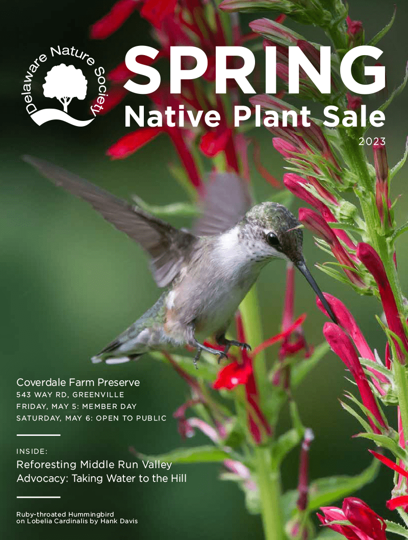 Native Plant Sale List Catalogue Spring 2023