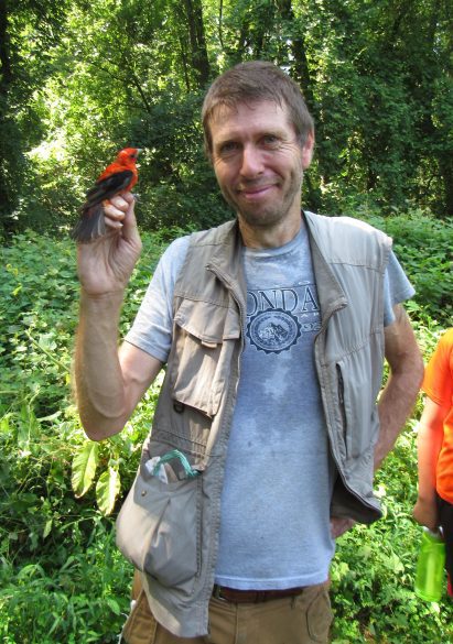 Ian Stewart, Ornithologist with Scarlet Tanager
