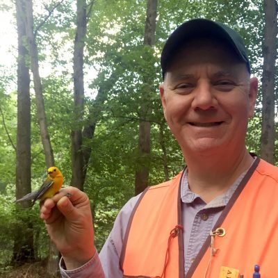 Mike Valenti bio pic Prothonatory warbler