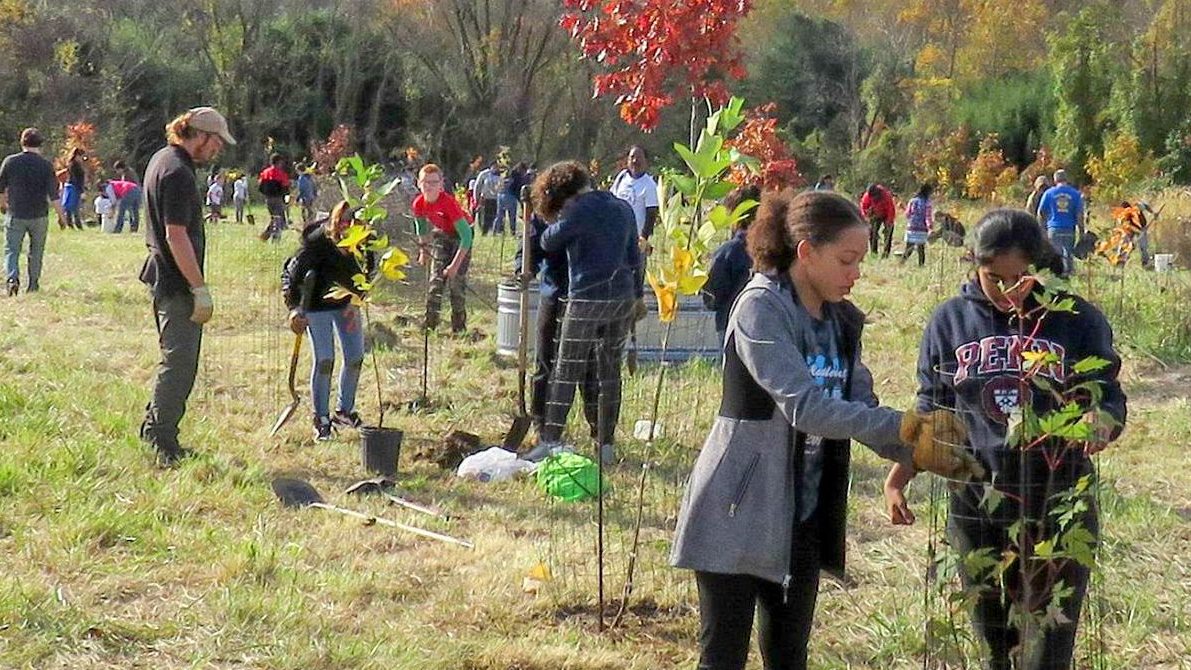 Volunteer Middle Run Tree Planting