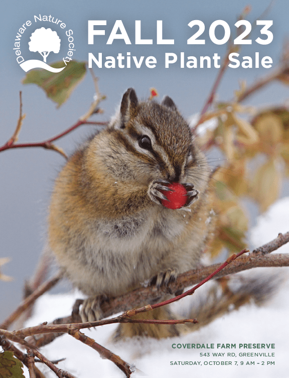 Native Plant Sale List Catalogue Fall 2023