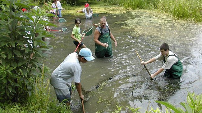 School children netting and seining in stream