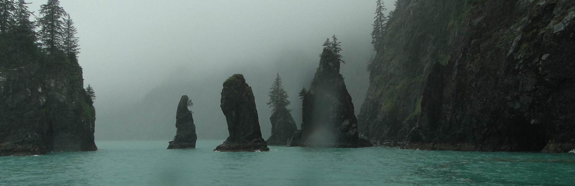 Resurrection Bay. Photo by Amy Meredith