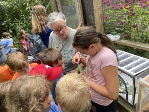 Teacher/naturalist showing monarch butterfly caterpillars to children by Suzanne Herel
