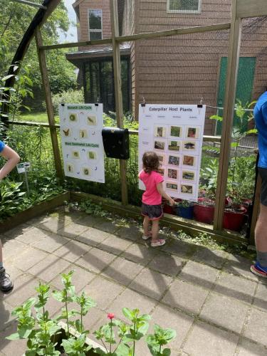Child looking at info signs in Ashland Butterfly Habitat